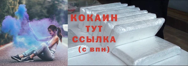 индика Красноперекопск