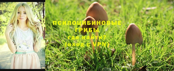 индика Красноперекопск