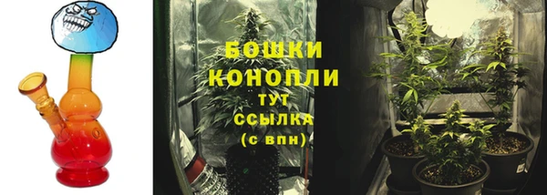 индика Красноперекопск